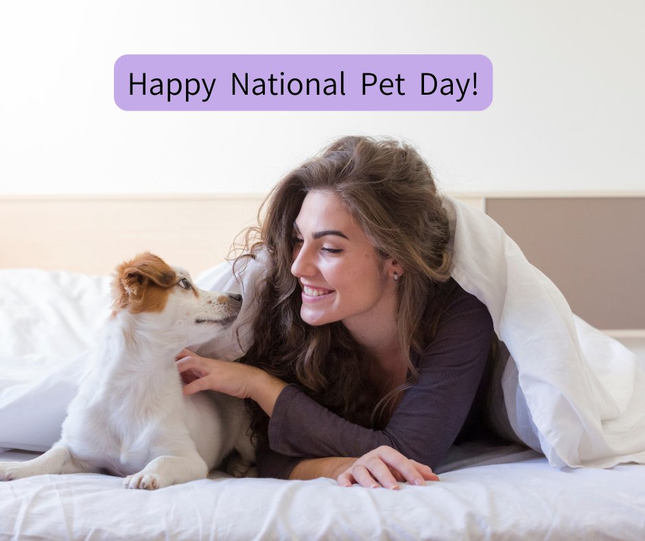 10 Reasons to allow your dog to sleep with you in your bed on National Pet Day - Down & Cotton