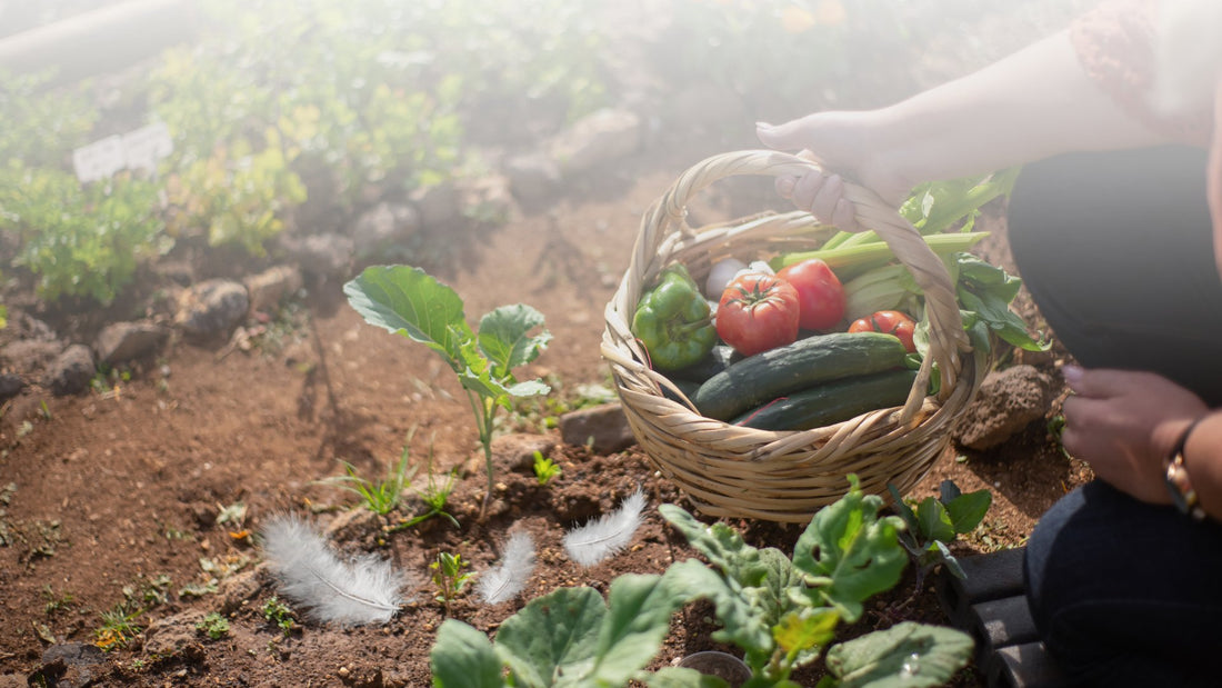 Reuse your feather and down bedding in the garden - Down & Cotton