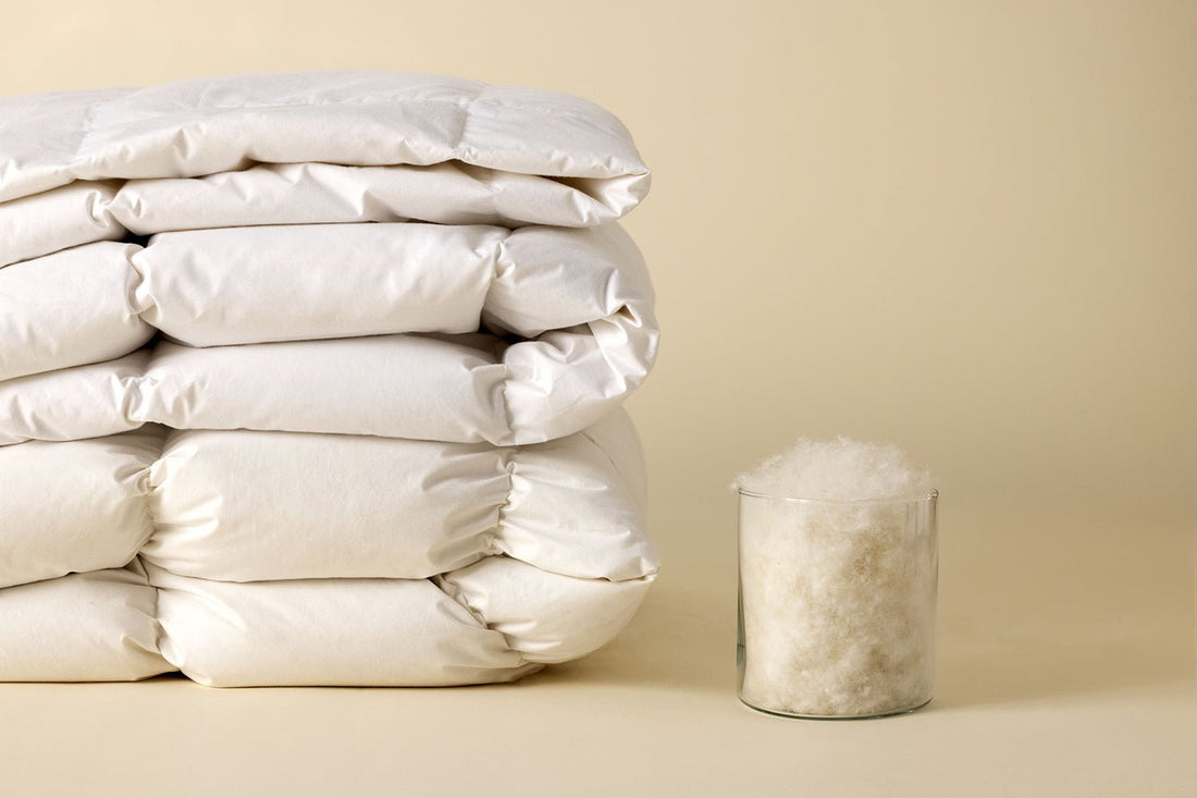 What's the difference between Canadian and Hungarian Goose Down bedding? - Down & Cotton